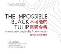 The Impossible Black Tulip. Investigating hybridity from Macao.