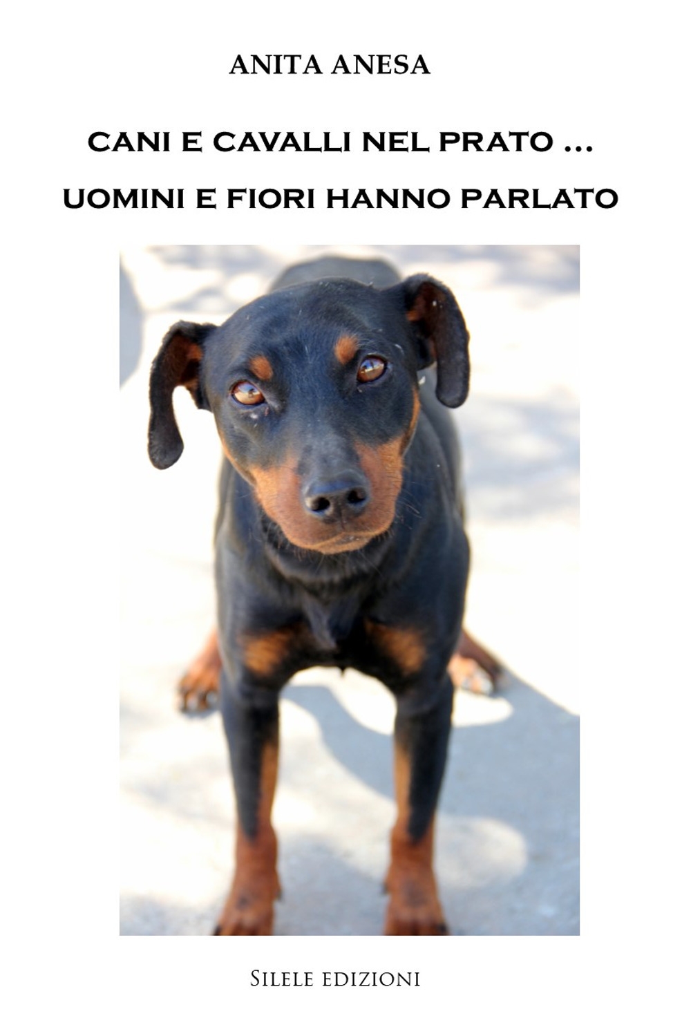 Cani e cavalli nel prato... Uomini e fiori hanno parlato Cani e cavalli nel prato... Uomini e fiori hanno parlato