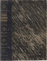 I lavoratori del mare di Victor Hugo.