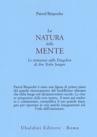 La natura della mente. Le istruzioni sullo Dzogchen di Aro Yeshe Jungne