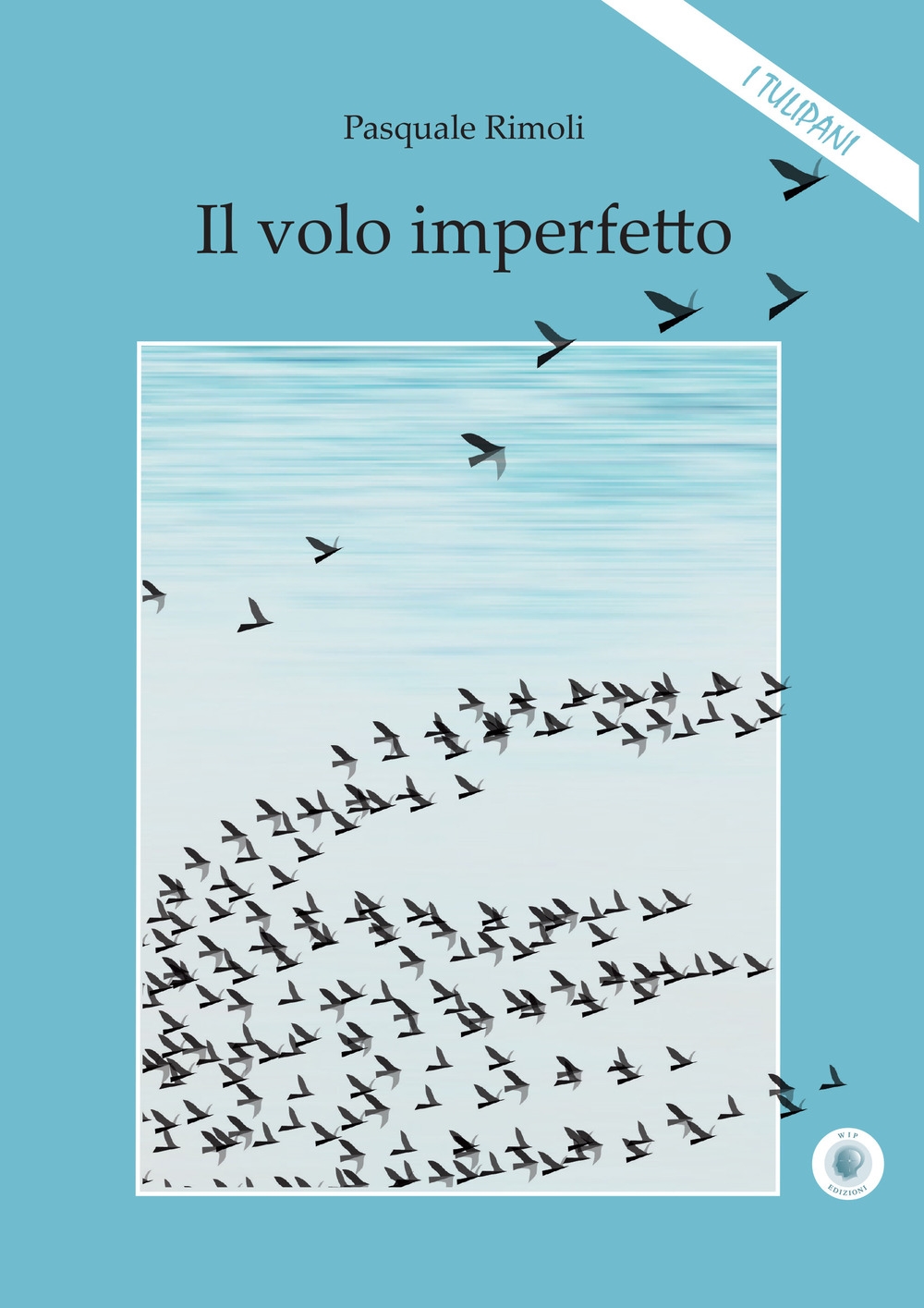 Il volo imperfetto Il volo imperfetto