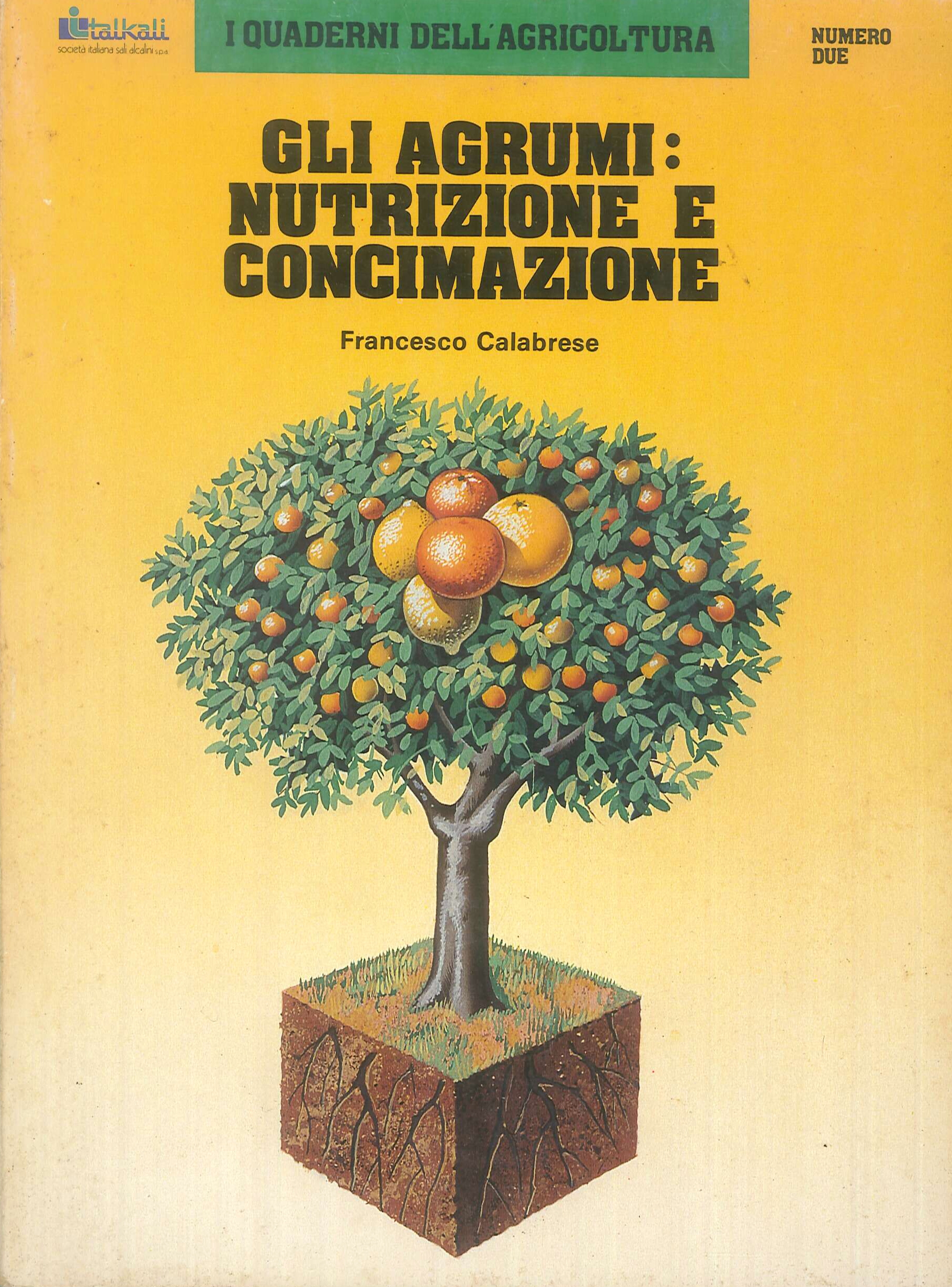 Gli agrumi: nutrizione e concimazione Gli agrumi: nutrizione e concimazione
