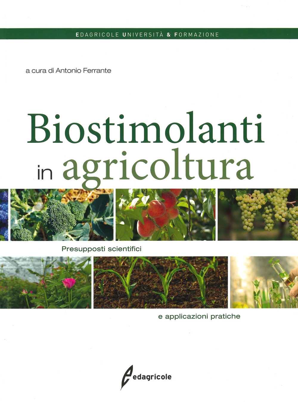 I biostimolanti in agricoltura. Presupposti scientifici I biostimolanti in agricoltura. Presupposti scientifici