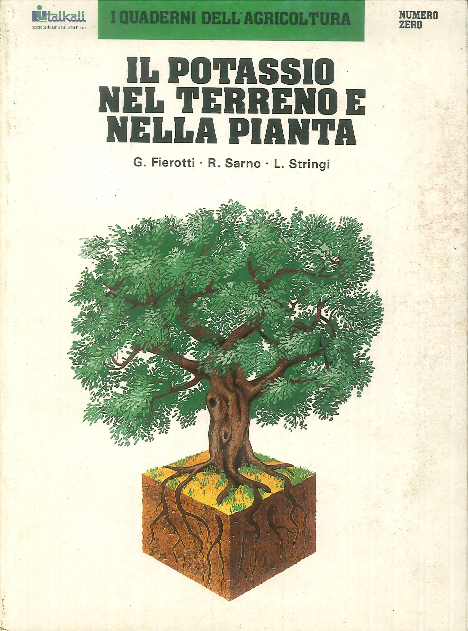 Il Potassio Nel Terreno E Nella Pianta Il Potassio Nel Terreno E Nella Pianta
