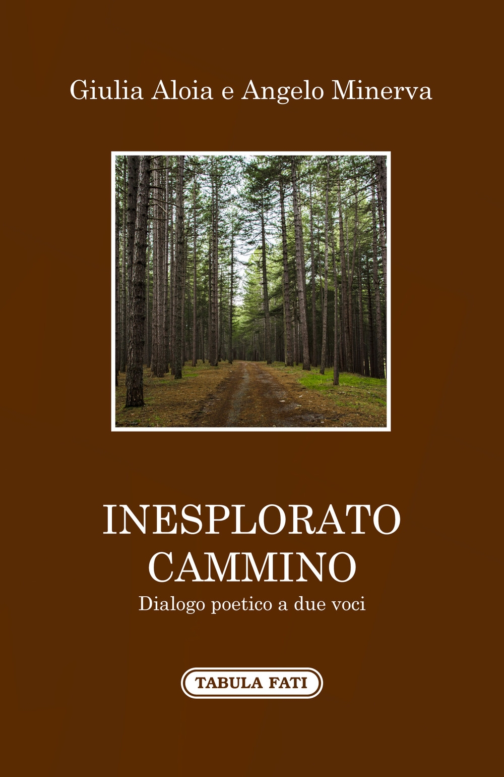 Inesplorato cammino Inesplorato cammino