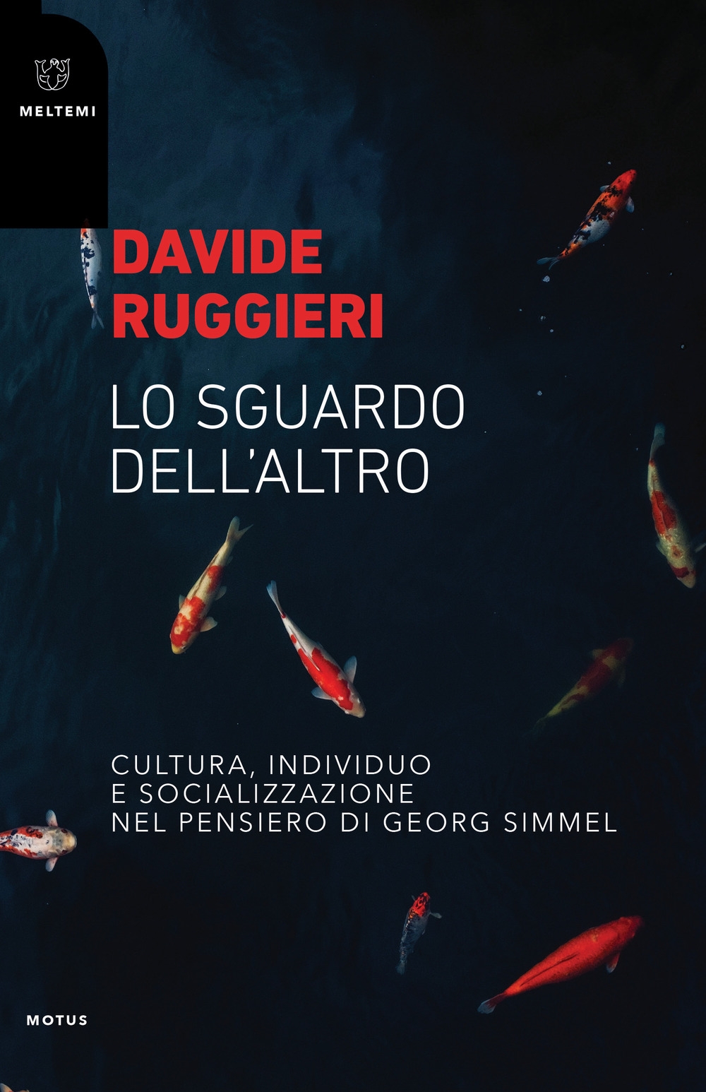 Lo sguardo dell'altro. Cultura, individuo e socializzazione nel pensiero di Georg Simmel Lo sguardo dell'altro. Cultura, individuo e socializzazione nel pensiero di Georg Simmel