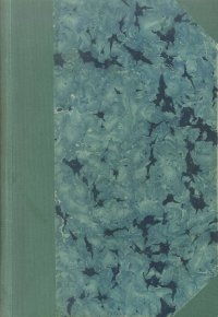 La signorina. Romanzo