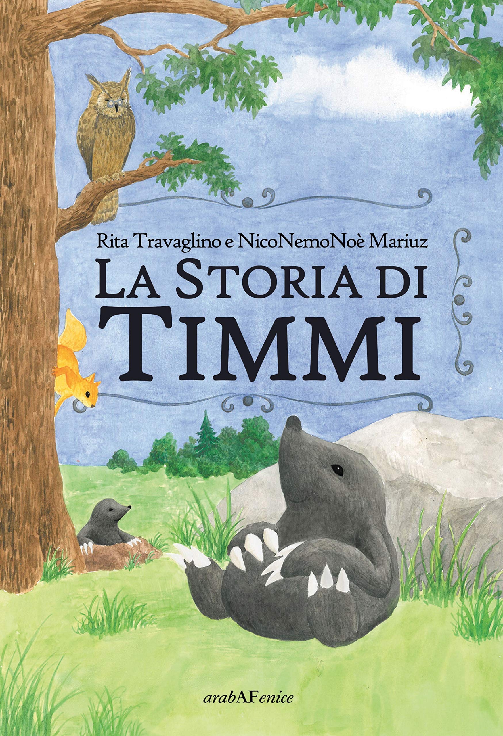 La storia di Timmi La storia di Timmi