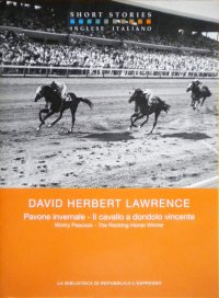 Il Pavone Invernale - il Cavallo a Dondolo Vincente