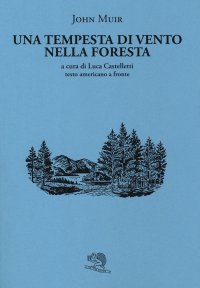 Una tempesta di vento nella foresta