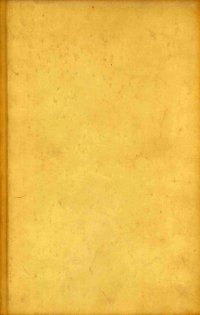 La parmigiana.