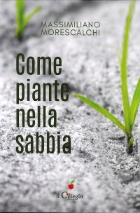 Come piante nella sabbia