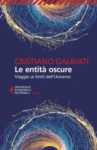 Le entità oscure. Viaggio ai limiti dell'Universo