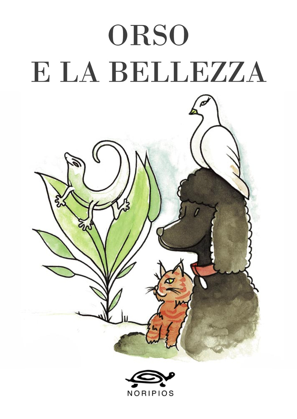 Orso e la bellezza Orso e la bellezza
