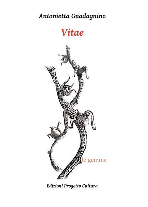 Vitae Vitae