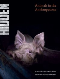 Hidden. Animals in the Anthropocene