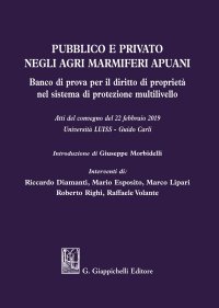 Pubblico e privato negli agri marmiferi apuani. Banco di prova per il diritto di proprietà nel sistema di protezione multilivello