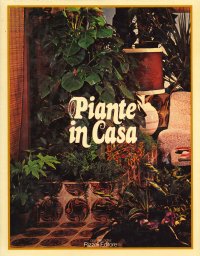 Piante in casa tutti i segreti per curare le piante ornamentali
