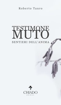 Testimone muto