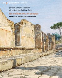 The Multiple Lives of Pompeii Surfaces and environments
