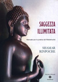 Saggezza Illimitata. Manuale per la pratica del Mahamudra.