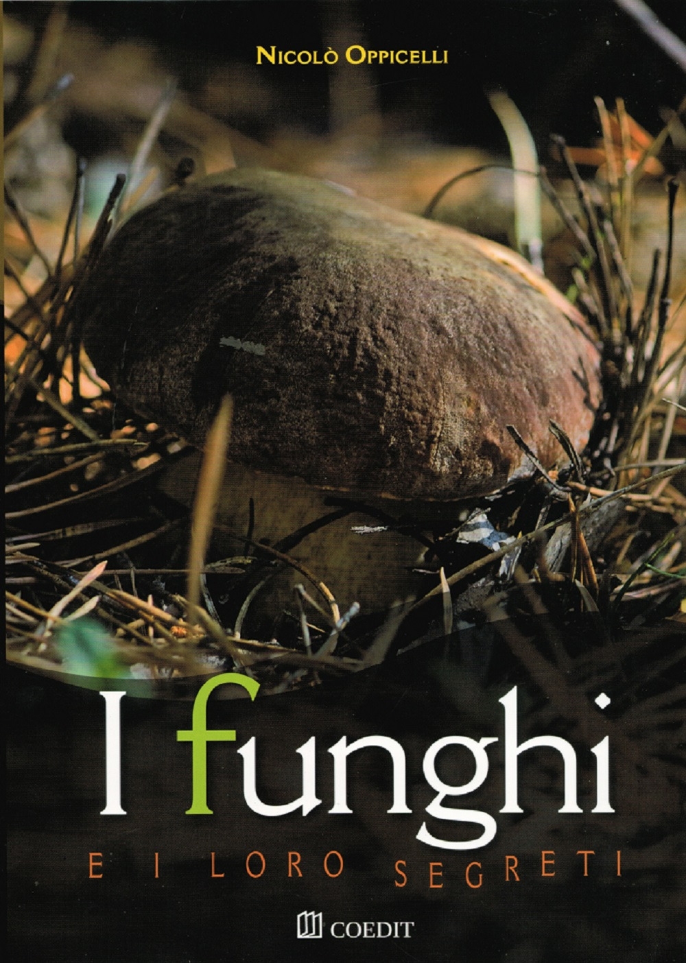 I funghi e i loro segreti. Riconoscerli, trovarli, gustarli