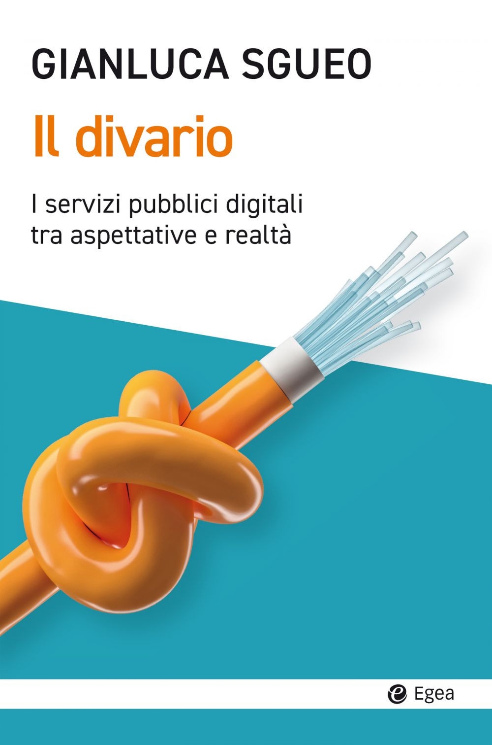 Il divario. Aspettative e realtà dei servizi pubblici