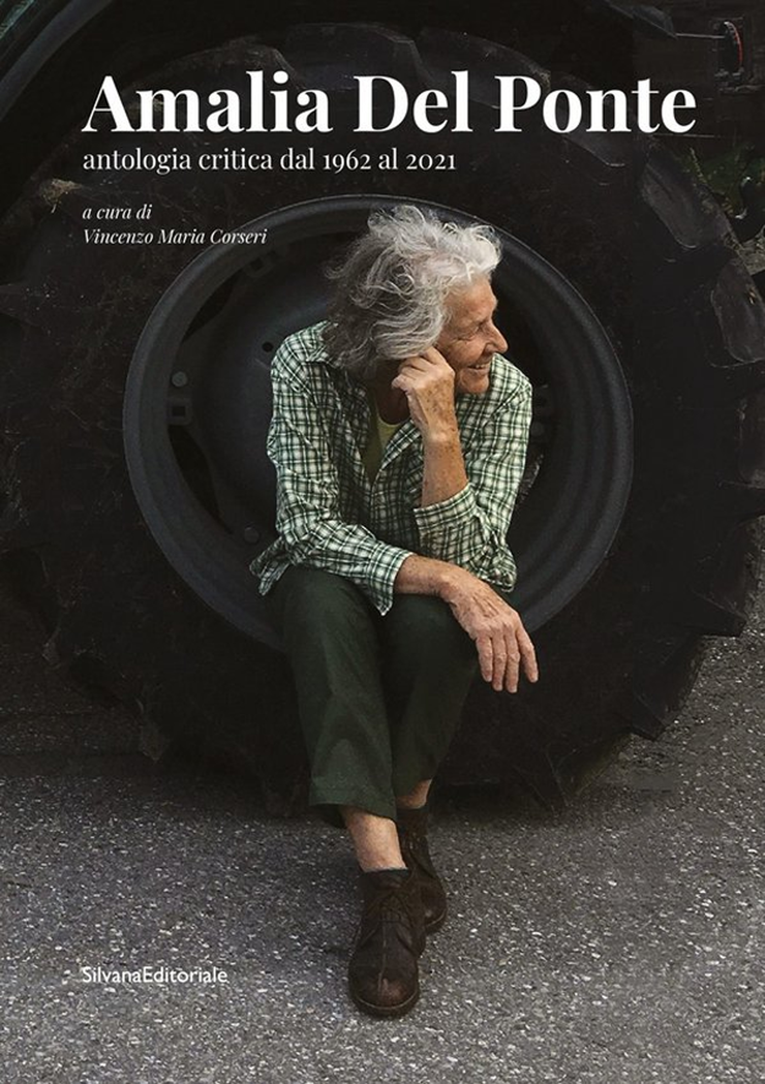 Amalia Del Ponte antologia critica dal 1962 al 2021