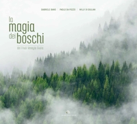 La magia dei boschi del Friuli Venezia Giulia