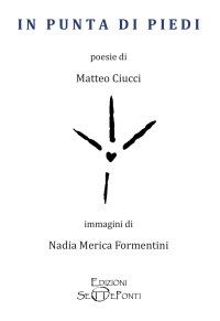 In punta di piedi