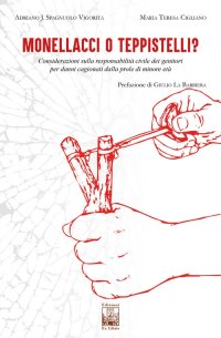 Monellacci o teppistelli? Considerazioni sulla responsabilità civile dei genitori per danni cagionati dalla prole di minore età