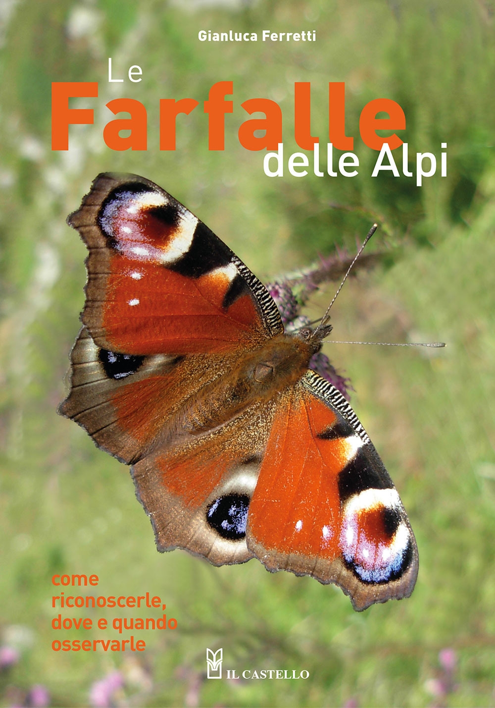 Le farfalle delle Alpi. Come riconoscerle, dove e quando osservarle