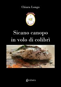 Sicano canopo in volo di colibrì.