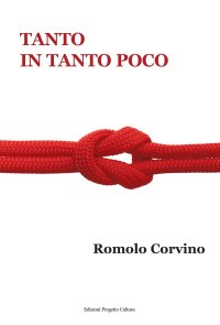 Tanto in tanto poco