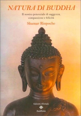 Natura di Buddha. Il nostro potenziale di saggezza, compassione e felicità