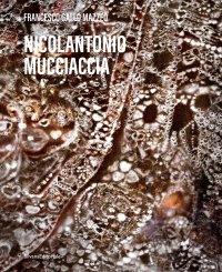 Nicolantonio Mucciaccia
