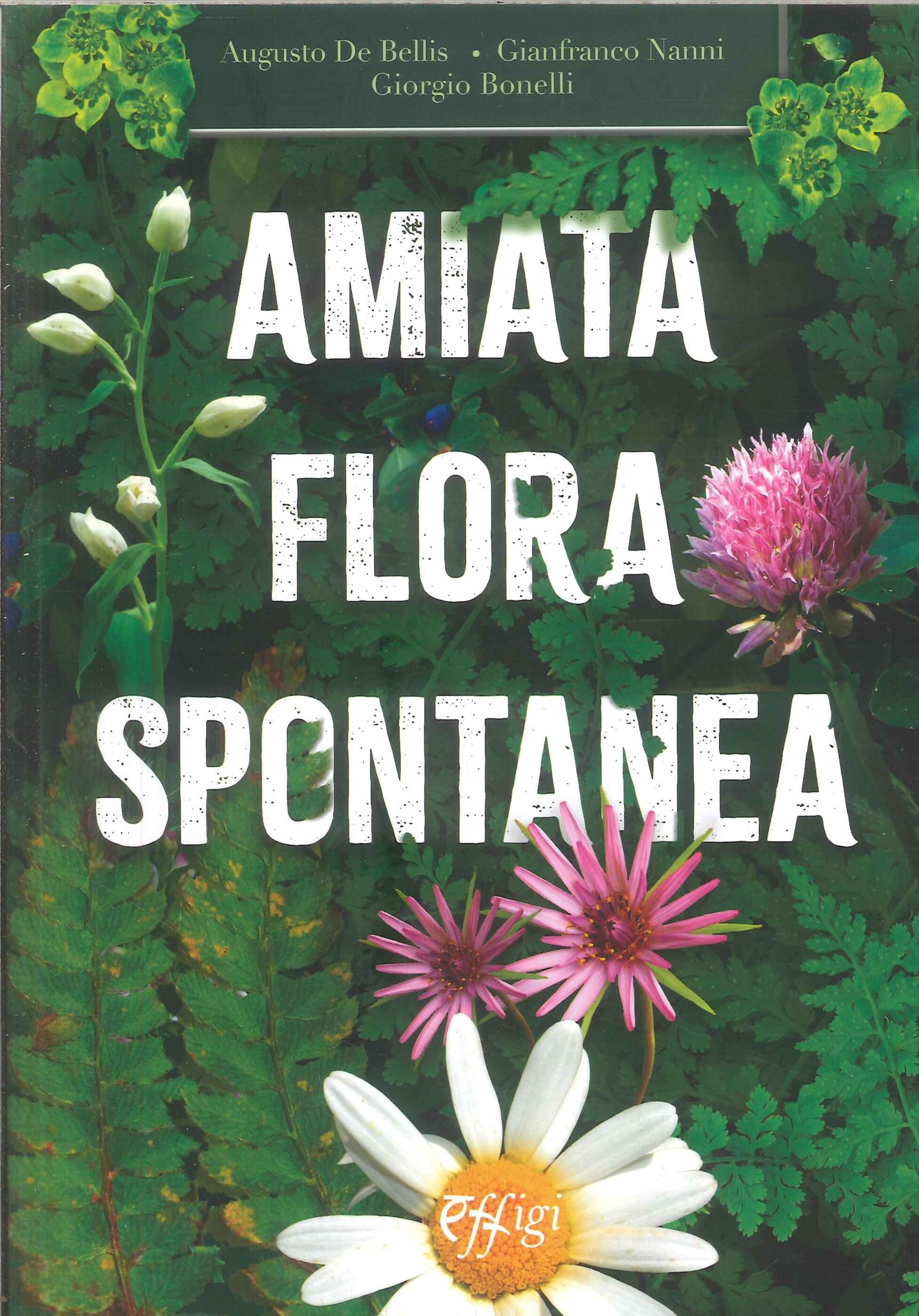 Amiata flora spontanea