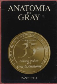 Anatomia Del Gray