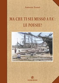 Ma che ti sei messo a fa': le poesie?