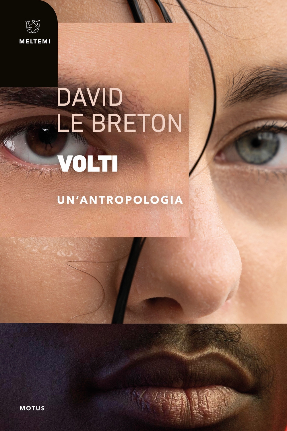 Volti