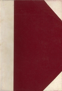 Storia dell'arte italiana V. La pittura del Trecento e le sue origini