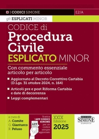 E2/A CODICE PROCEDURA CIVILE ESPL MINOR.