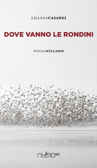 Dove vanno le rondini