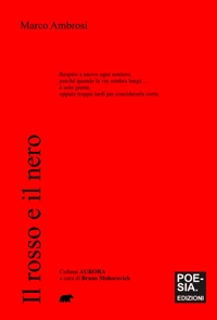 Il rosso e il nero