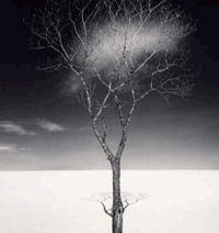 Constellation. Michael Kenna