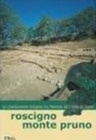 Roscigno Monte Pruno: un sito di frontiera tra Paestum e il Vallo di Diano