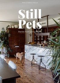 Still Pets. Stories from Living Rooms. Dogs