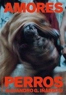 Sueño Perro Instalación Celuloide de Alejandro G. Iñárritu